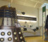 camerondalek
