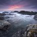 TERRY STEWART